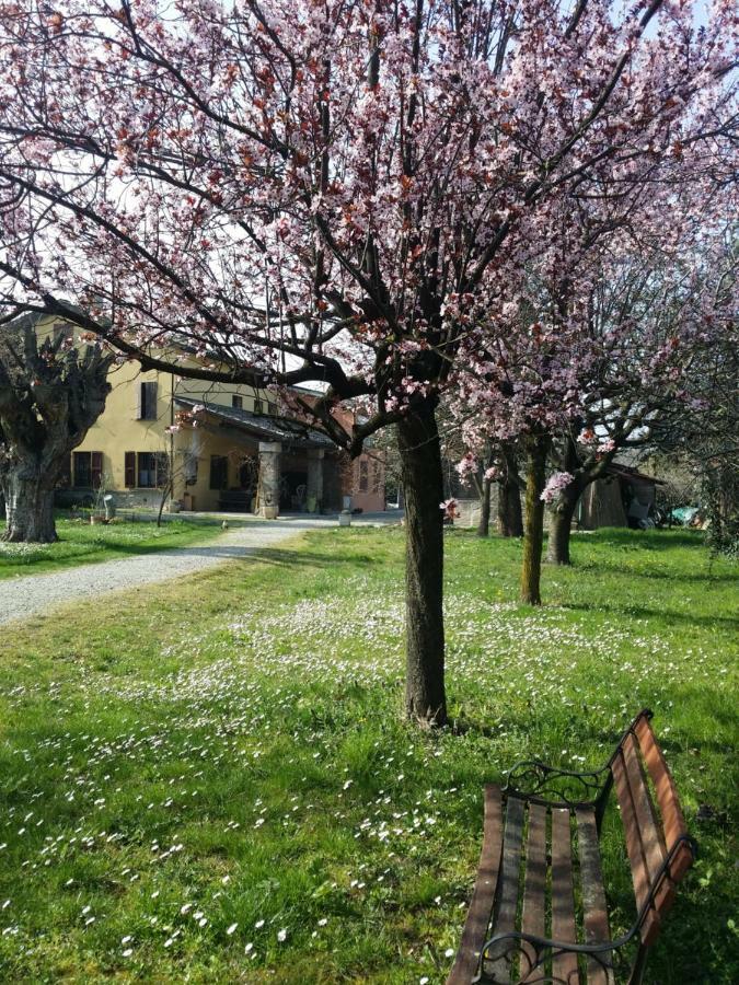 R&B Albero Cavo Parma Bed & Breakfast Exterior photo