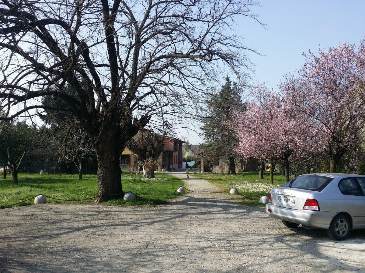 R&B Albero Cavo Parma Bed & Breakfast Exterior photo