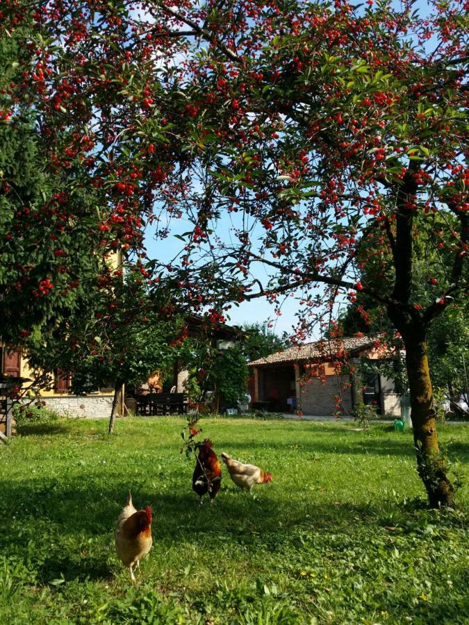 R&B Albero Cavo Parma Bed & Breakfast Exterior photo